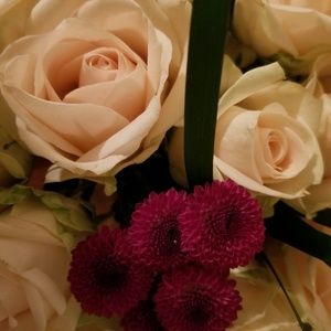 Meet your Posher, Lydia